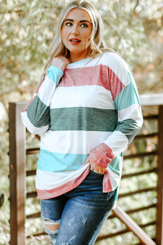 Sky Blue Stripe Plus Size Colorblock Pullover Top